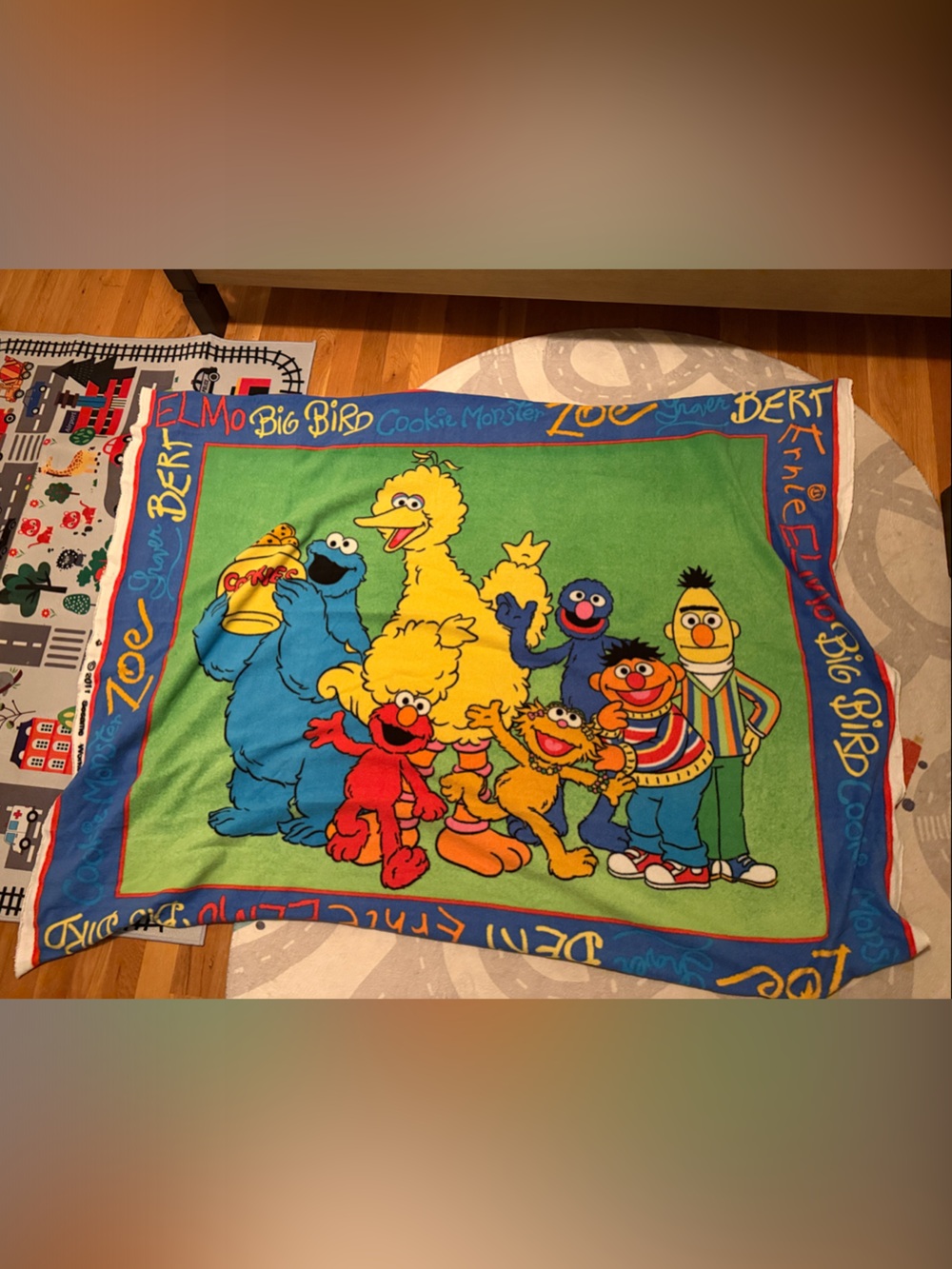 Sesame Street Character Throw Blanket - Bright Multi-Color